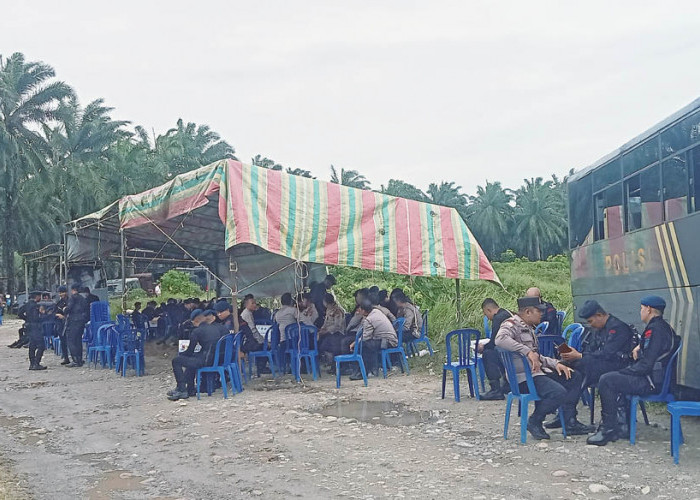 Usai Bentrok Berdarah, PT Agricinal Minta Penegakkan Hukum Secara Tegas!