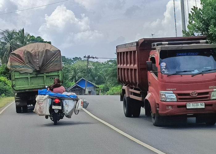 Ingat, Pemutihan Pajak Tinggal 24 Hari Lagi 