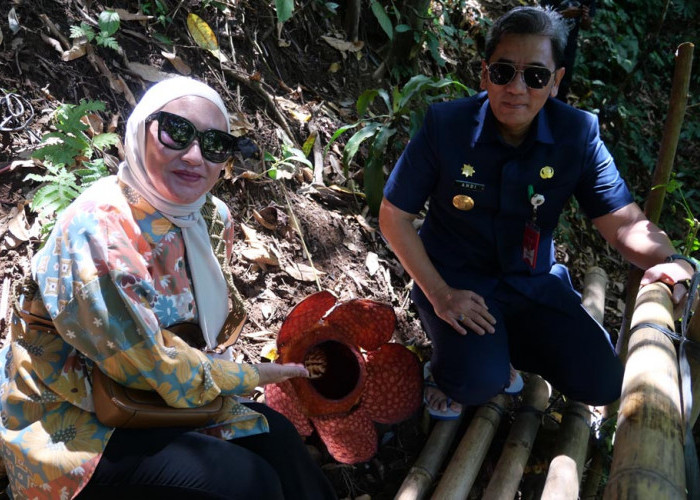 Pjs Andi Gebyuran di Kolam Air Terjun Kemumu 