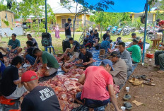  Idul Adha, 210 Hewan Kurban di Putri Hijau Dipastikan Layak Konsumsi