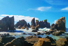 Pantai Gigi Hiu, Surga Tersembunyi Di Tanah Lampung