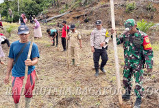 Desa Bukit Sari Gelar Penanaman Jagung Perdana untuk Program Sadesahe