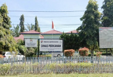 Kursi Kadis Perikanan Mukomuko Kosong, Pemkab Segera Tunjuk Plt