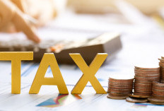 Peras Otak Tahun Fiskal Cekak