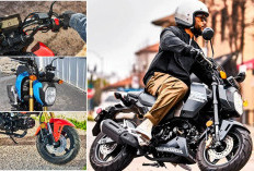 Harga Honda Grom 2025, Si Mungil Sporty Modern Segera Meluncur di Indonesia? 