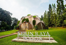 Destinasi Wisata Alam yang Menyegarkan Di Kebun Raya Bogor