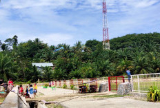 Lokasi Blankspot, Pemda Terus Ajukan Tower ke Pusat