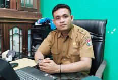 Genjot Produksi Pangan di Mukomuko, 809 Hektare Lahan Non Rawa Mulai Digarap