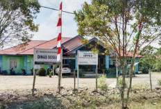 Dinsos Siap Antarkan 10 ODGJ ke Rumah Sakit Jiwa Bengkulu