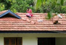 Mengurai Makna Mimpi Berjalan di Atas Atap: Simbol Kekuasaan atau Kebebasan?