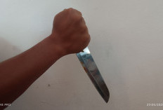 Penikam Kades di Bengkulu Diamankan