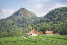Gunung Lingga Sumedang: Misteri Prabu Tajimalela dan Jejak Sejarah Kerajaan Sumedang Larang 
