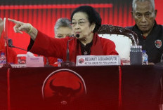 Bakal Urusi Proses Rekom Calon Kada, Adian Napitupulu Jadi Ketua Tim Pemenangan Nasional PDIP Pilkada 2024 