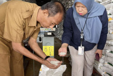 Stok Pangan Aman Jelang Natal dan Tahun Baru 2025