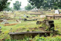 Belum Tentu Menjadi Pertanda Buruk, Ini Makna dari Mimpi Melihat Kuburan 