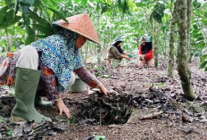 Dukungan Pemda Dibutuhkan dalam Membangun Kebun Kopi Berbasis Kearifan Lokal