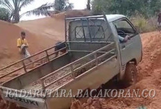 Jalan Trans Lapindo Melumpur, Sawit Busuk Hingga Petani Rugi Besar