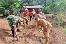 Pemdes Tanam Jagung Perdana, Dukung Program Ketahanan Pangan Gubernur