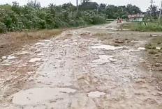 Alhamdulillah, Jalan Menuju RSUD Mukomuko Tahun Ini Diaspal