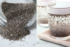 Wow! Siapa Sangka Chia Seed Memiliki 7 Manfaat Luar biasa Bagi Kesehatan Beserta Kandungan di Dalamnya