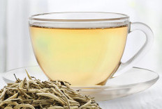 Mengungkap Manfaat dari Mengkonsumsi White Tea untuk Kesehatan