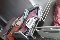 Kecelakaan Laut Maut Pulau Tikus Bengkulu, Nakes Berstatus Honorer 