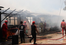  6 Bedengan di Kota Bengkulu Terbakar. PBK Kerahkan 9 Pos dan 12 Armada