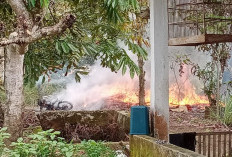 BREAKING NEWS! Dua Unit Motor dan Sebuah Pondok Ludes Terbakar di Tambak Rejo