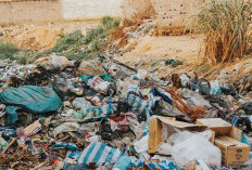 Ini 5 Fakta Mengejutkan Mengenai Sampah di Indonesia yang Wajib Anda Ketahui