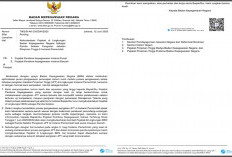 Rawan Konflik Kepentingan! BKN Surati PPK, Soal Lelang Jabatan