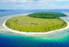 Pulau Ular di Buton Selatan, Misteri dan Keindahan yang Memukau