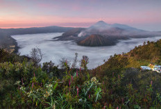 Ini 5 Spot Wisata yang Bisa Kamu Nikmati Sambil Lari di Bromo Marathon 2024!