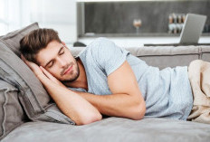 Siapa Sangka! Ternyata Ini Manfaat Tidur Siang 20 Menit yang Jarang Diketahui Banyak Orang