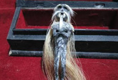 Apakah Akan Menjadi Pertanda Mistis?, Ini Makna dari Mimpi Melihat Boneka Jenglot Menurut Primbon Jawa