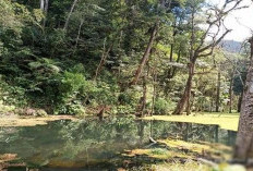 Misteri Lembah Tengkorak di Amazon Pasunan : Kenapa Dinamakan Tengkorak? Berani Jajal Treking ke Lokasi Angker