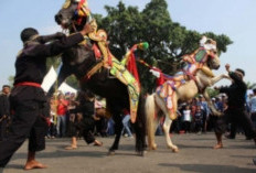 Mengenal Sejarah di Balik Kesenian Kuda Renggong Khas Sumedang, Jawa Barat