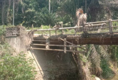 Usulan Jembatan Mumbang ke Pemprov, Berharap Tahun Depan Dibangun