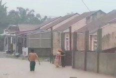  Sejam Diguyur Hujan, Puluhan Rumah di Kota Bengkulu Terendam Banjir. Titik Terparah di Sini...