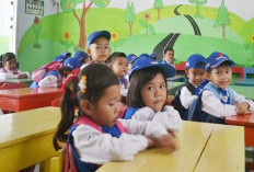 Hanya 2 TK Negeri di Putri Hijau, Ini Penjelasan Korwil Pendidikan