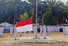 Detik-detik Proklamasi dan Upacara HUT RI di Kecamatan Putri Hijau, Khidmat dan Sukses