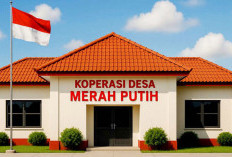 Kopdes Merah Putih Serap Dana Desa, Tetap Bertanggungjawab?