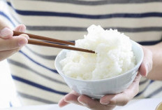 Berapa Lama Nasi Bisa Tersimpan di Kulkas? Ini Aturannya!