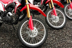 Belanja Motor Dinas Kades Dilakukan Kolektif atau Masing-masing Desa?