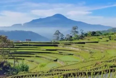 Di Balik Sejuknya Kabut dan Diamnya Batu Tua, Ini 7 Mitos Gunung Tampomas