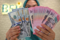 Pemerintah dan BI Sinkronisasi Kebijakan untuk Menjaga Stabilitas Rupiah