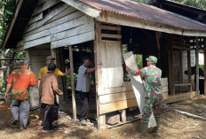 Satgas TMMD ke-126 Kodim 0423/BU Bongkar Rumah Tidak Layak Huni