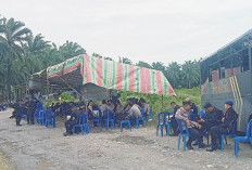 Usai Bentrok Berdarah, PT Agricinal Minta Penegakkan Hukum Secara Tegas!