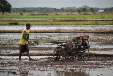 Delapan Prioritas Pembangunan Agraria dan Tata Ruang