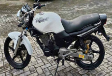Honda Tiger 2000 vs Yamaha RX King, Sesalipan Harga di Jalur Pasar Motor Bekas, Mengapa?