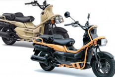 Flashback Honda PS250 Big Ruckus, Skuter Berdesain Militer Ini Jadi Incaran